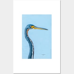 Blue heron Posters and Art